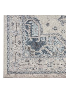 Nyle Traditional Medallion Rug