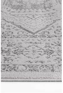 Poe Traditional Medallion Rug