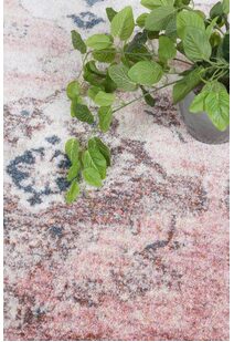 Suvi Transitional Medallion Rug