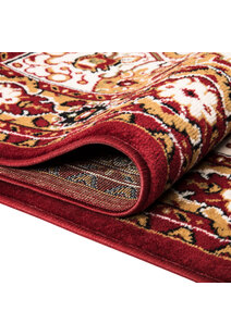 Toni Traditional Medallion Rug