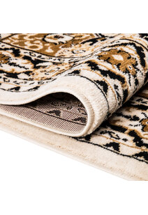 Toni Traditional Medallion Rug