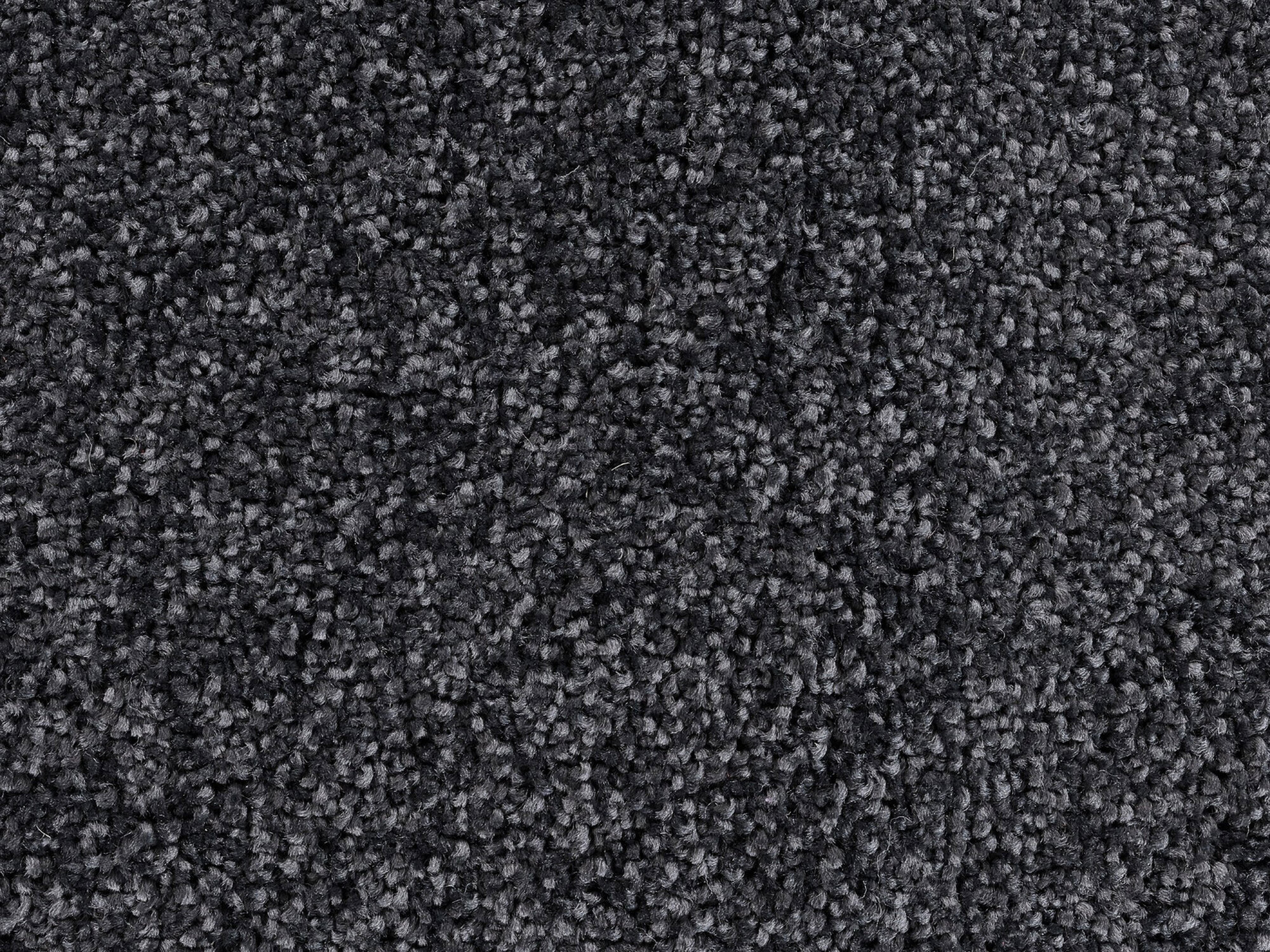 Bergamo Plain Black Modern Rug