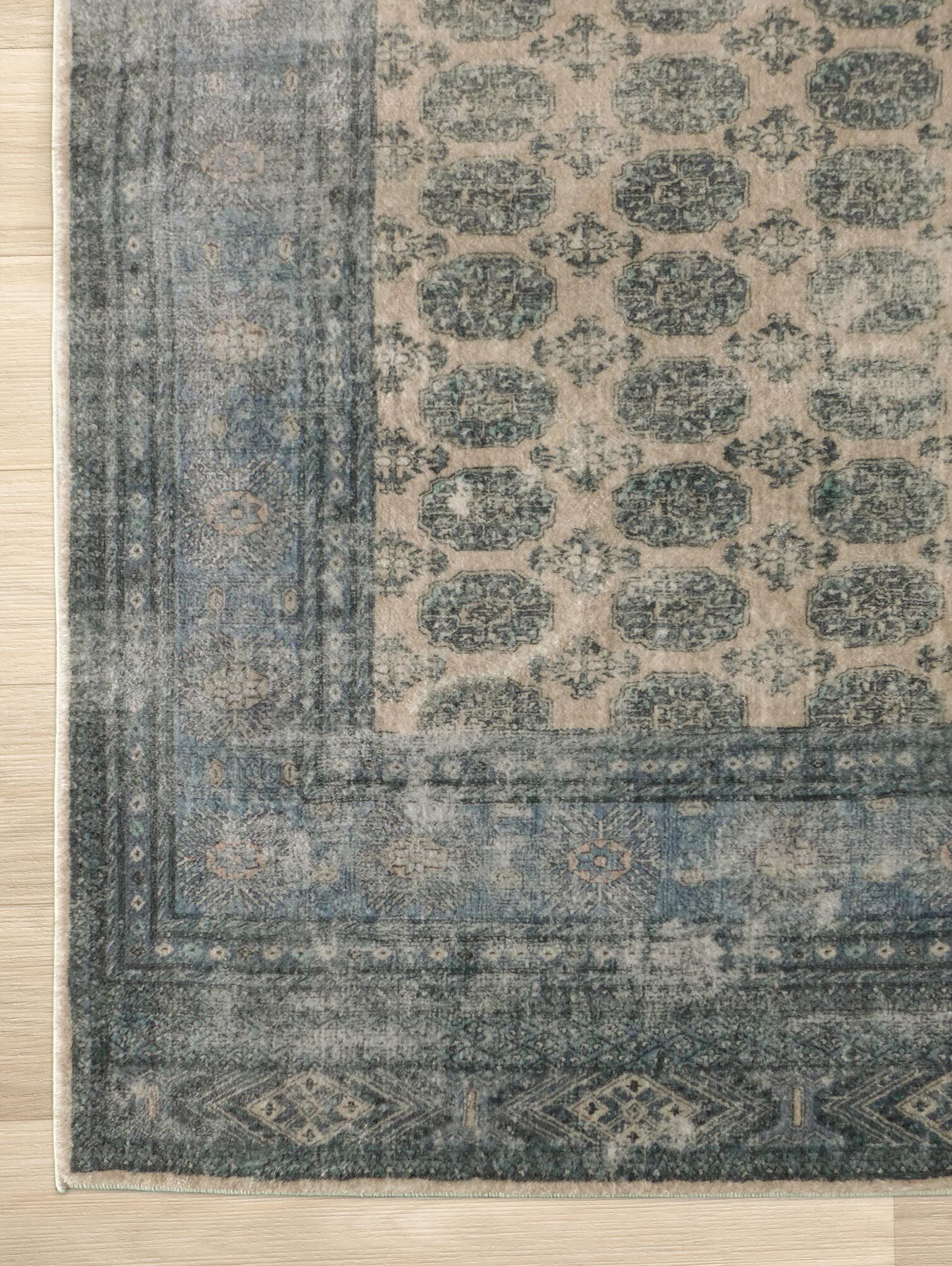 Large View Cato Traditional Geometric Rug