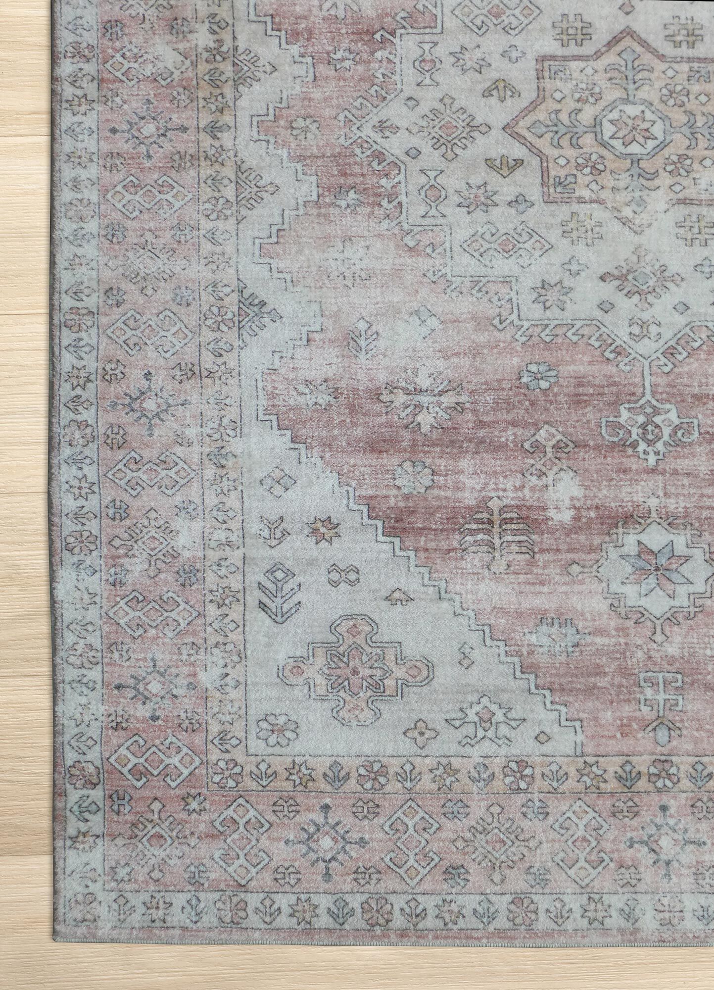 Large View Cato Traditional Medallion Rug