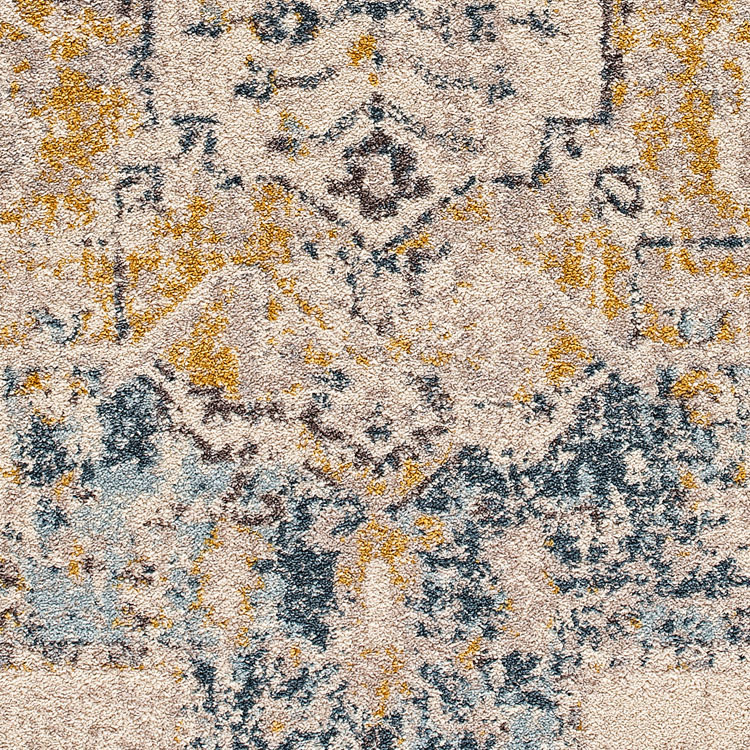 Cleo Traditional Medallion Rug