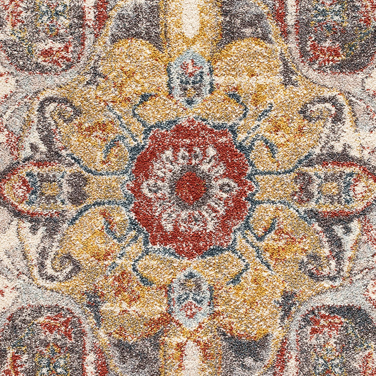 Cleo Traditional Medallion Rug