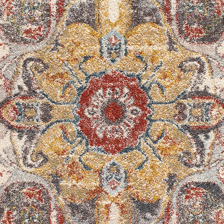 Large View Cleo Traditional Medallion Rug
