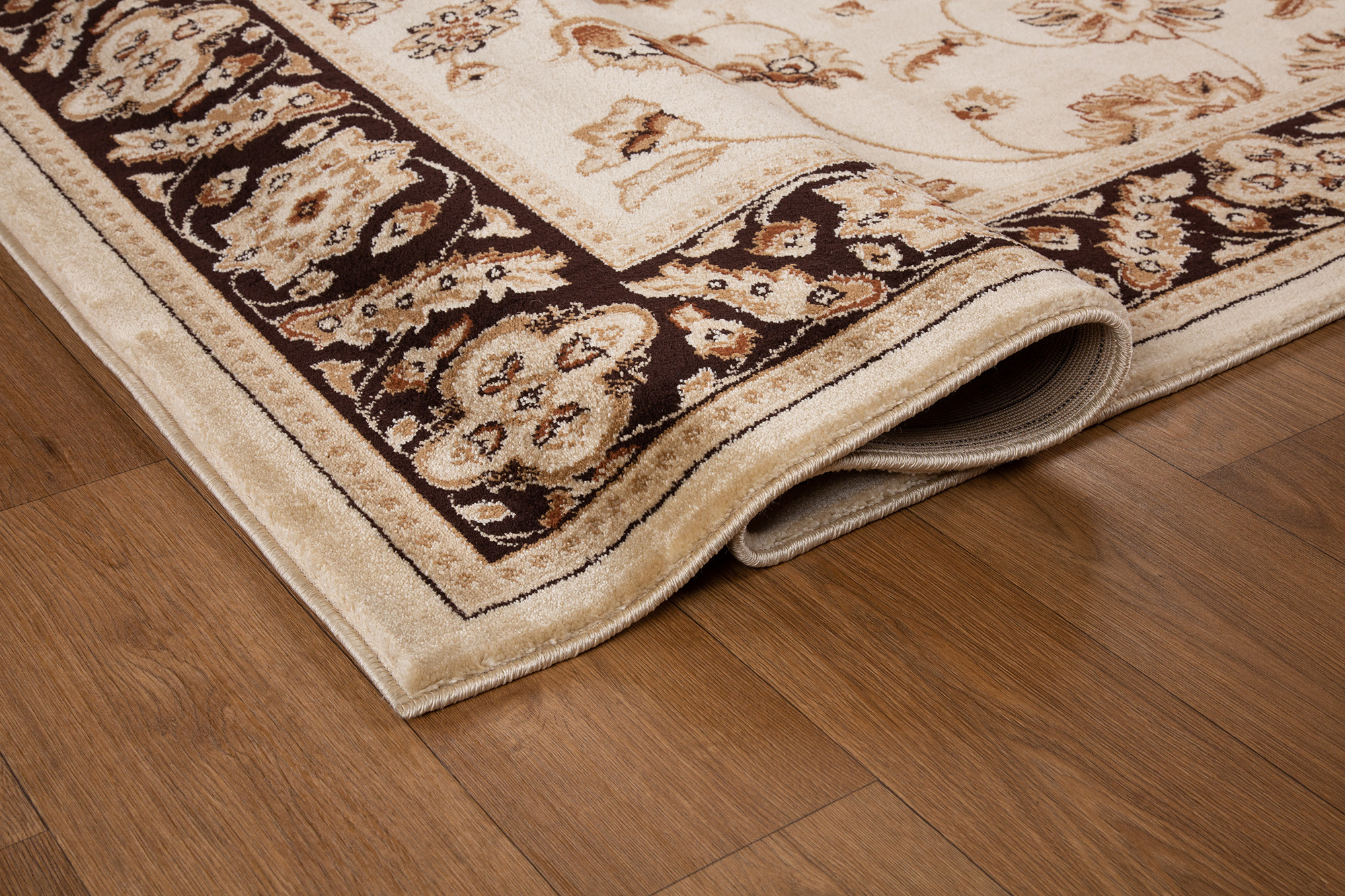Large View Coen Traditional Oriental Rug