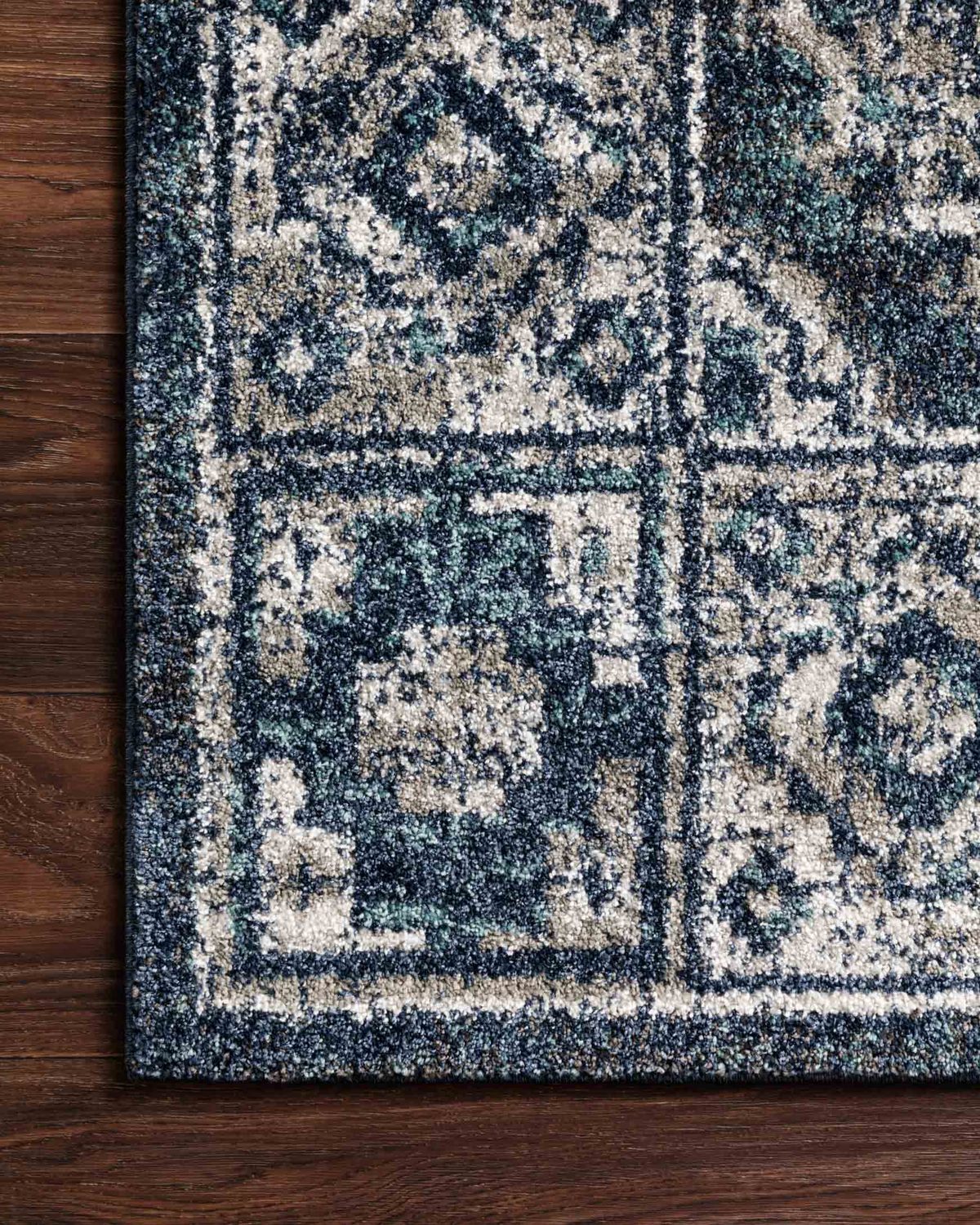 Large View Erin Transitional Medallion Rug