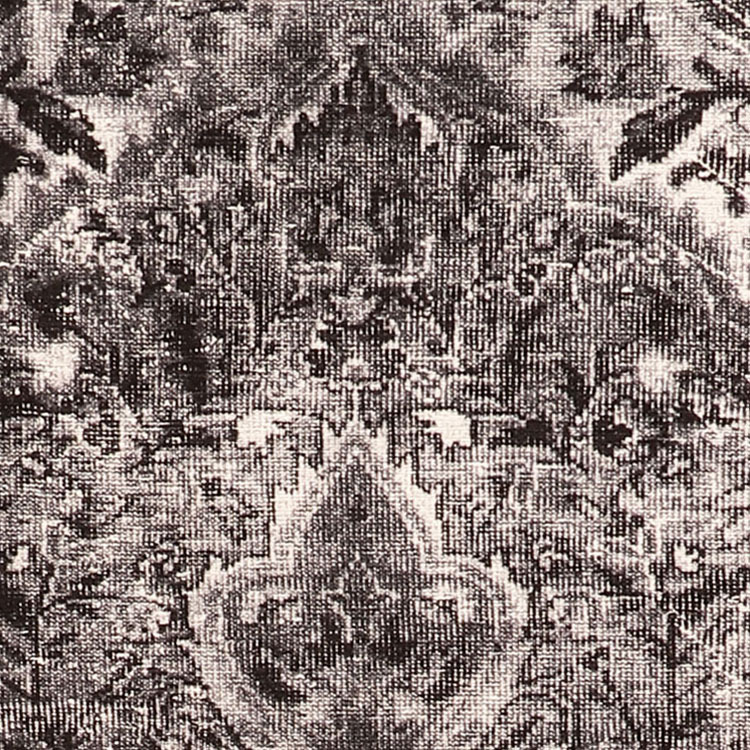 Large View Fara Transitional Medallion Rug
