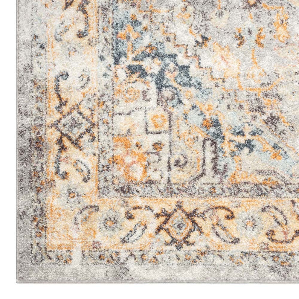 Lexi Transitional Medallion Rug
