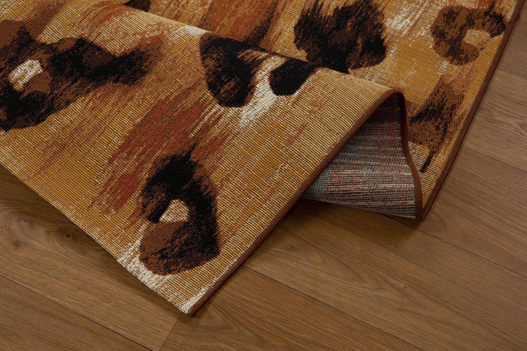 Large View Mystique Indoor/Outdoor Rug