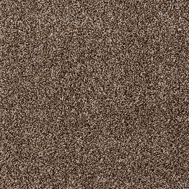 Sara Modern Plain Brown Rug