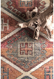 Alder Tribal Aged Medallion Rug