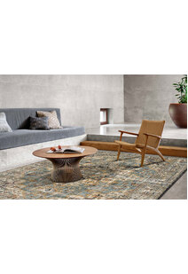 Aram Distressed Vintage Rug