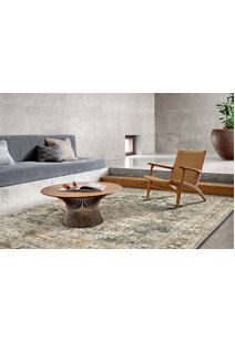 Aram Transitional Vintage Rug