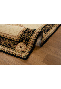 Cain Transitional Medallion Rug