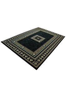 Cain Transitional Medallion Rug