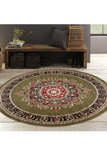 Gil Traditional Medallion Rug