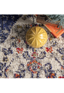 Hank Transitional Medallion Rug