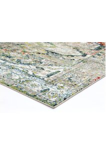 Juliet Overdyed Traditional Rug