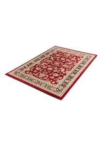 Justin Traditional Ornate Rug