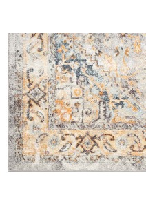 Lexi Transitional Medallion Rug