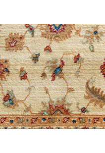 Parker Traditional Oriental Rug