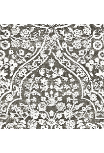 Saul Transitional Medallion Rug