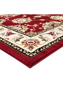 Toni Traditional Floral Rug