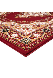 Toni Traditional Medallion Rug