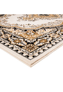 Toni Traditional Medallion Rug