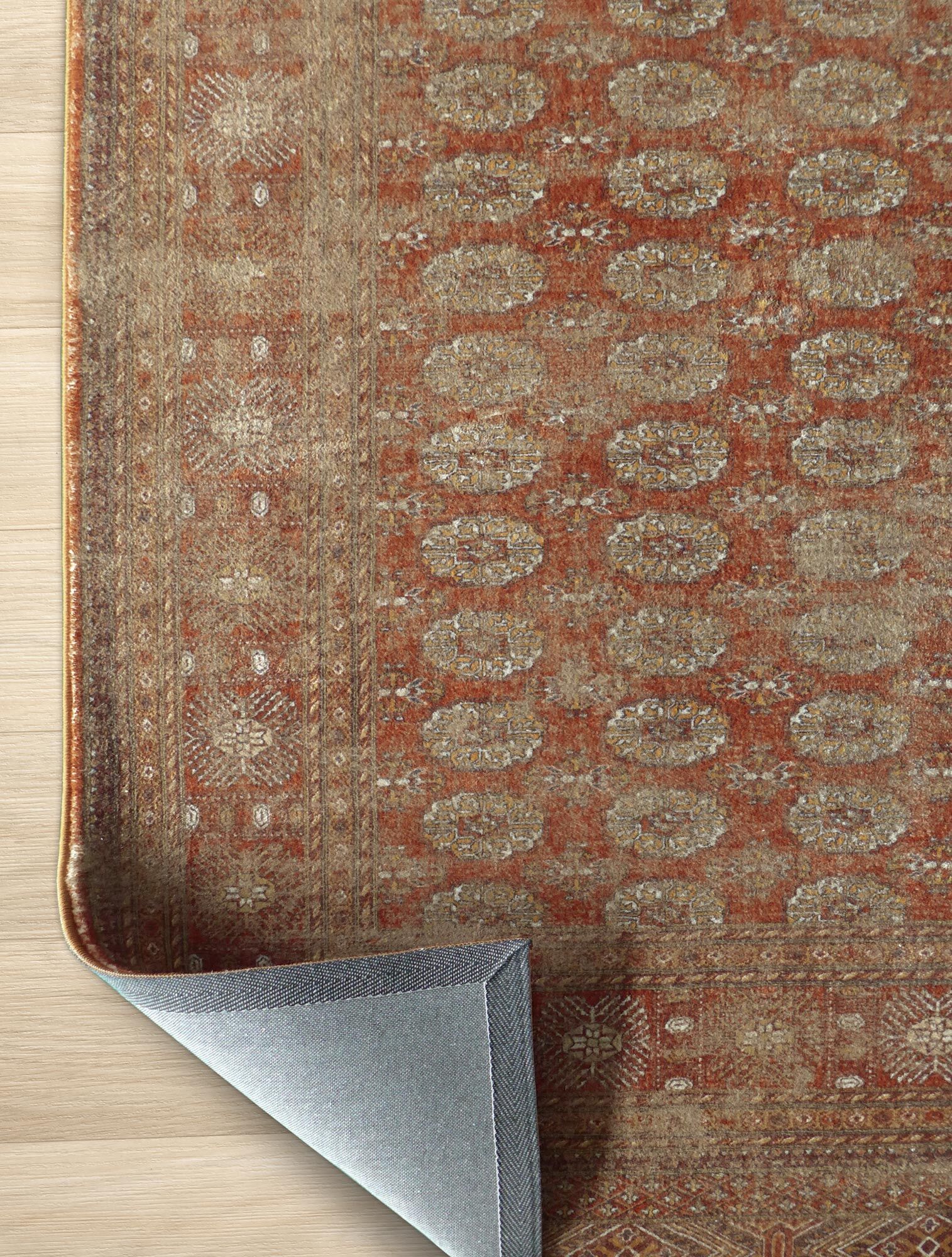 Large View Cato Traditional Geometric Rug