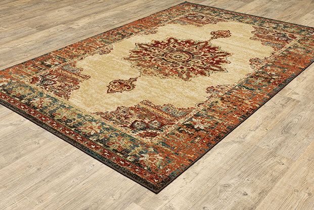 Caleb Transitional Medallion Rug