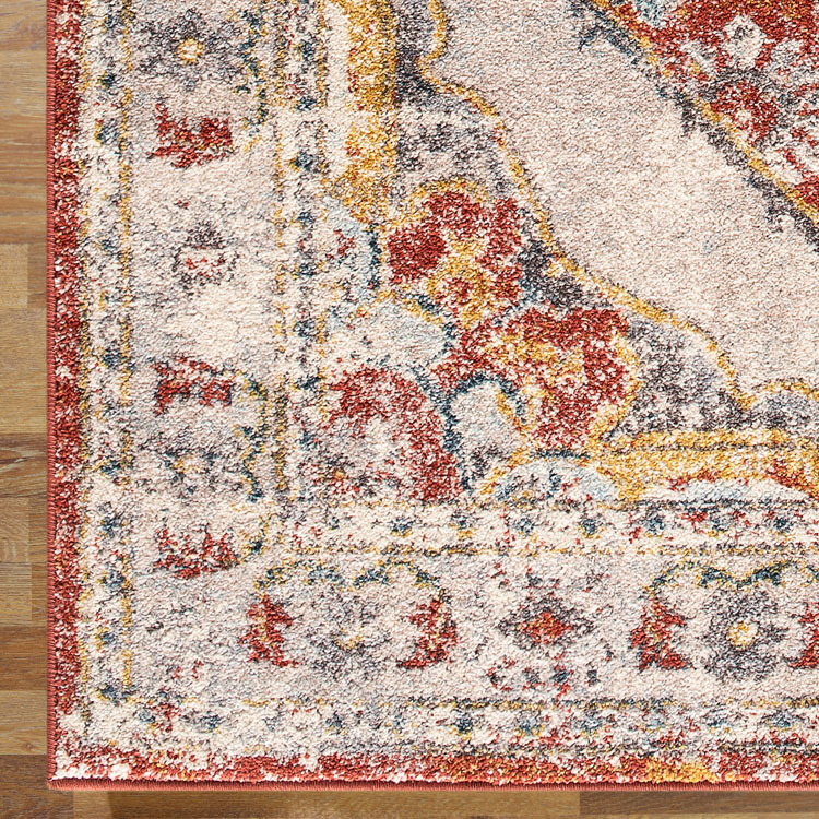 Large View Cleo Traditional Medallion Rug