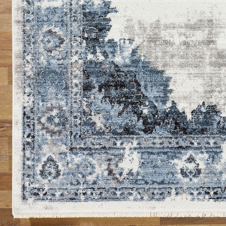 Large View Danny Traditional Medallion Rug