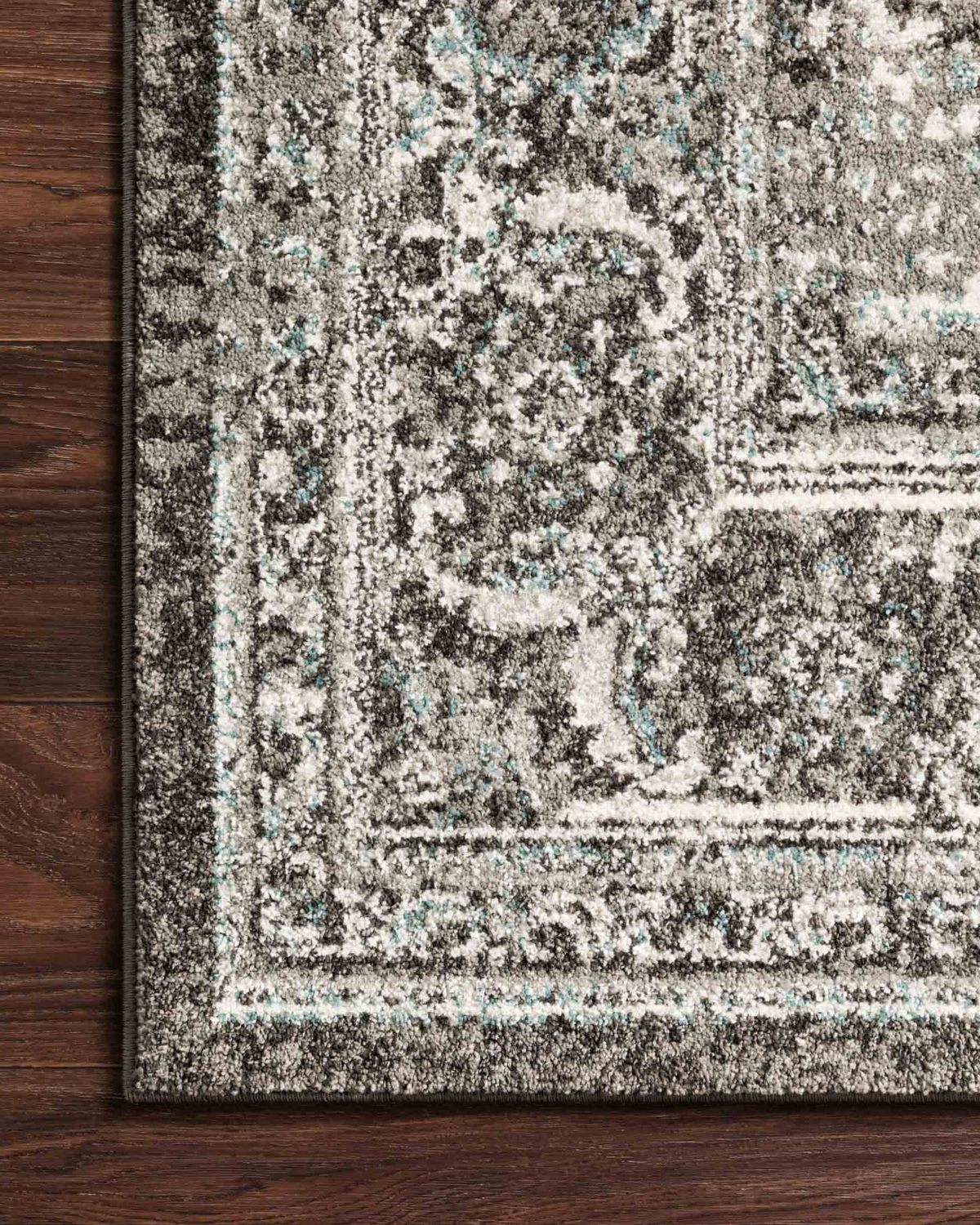 Erin Transitional Medallion Rug