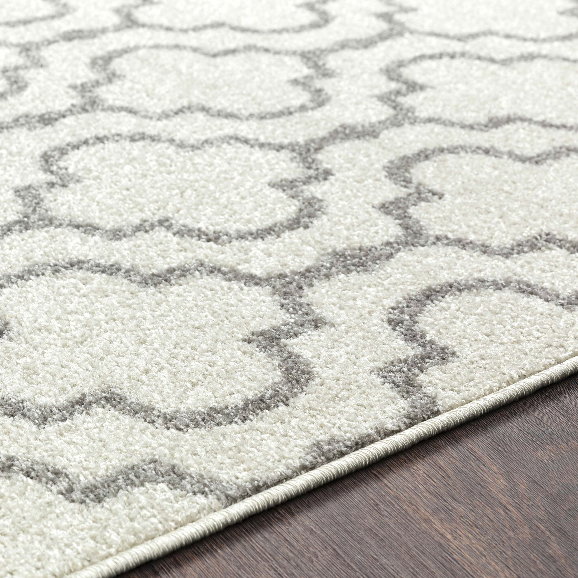 Large View Jack Contemporary Trellis Rug