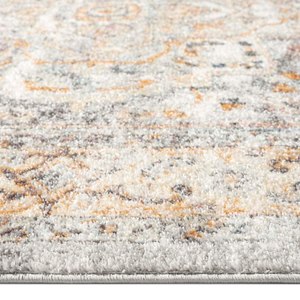 Lexi Transitional Medallion Rug