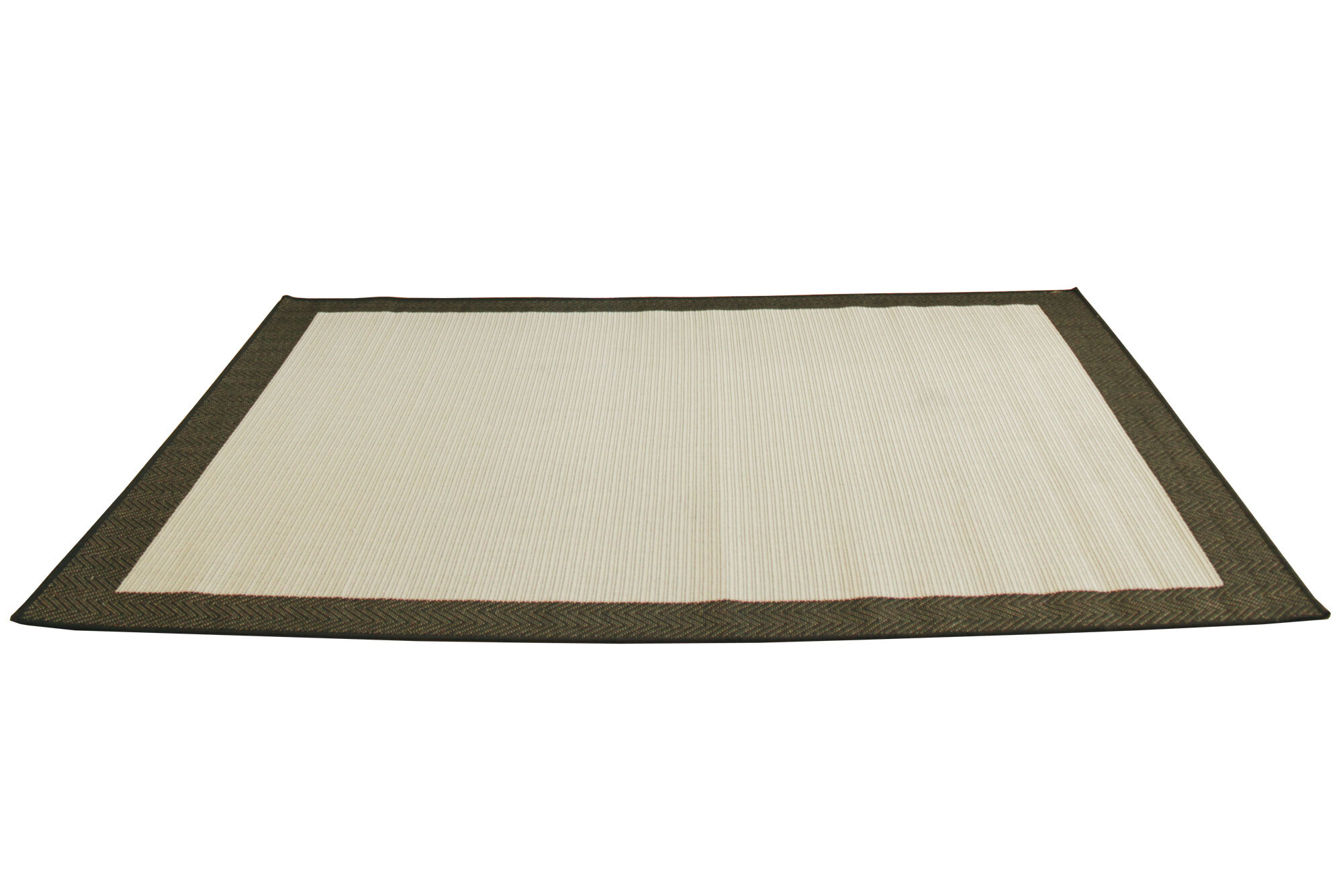Large View Storm Border Pattern Rug