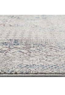 Cade Transitional Medallion Rug