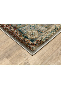 Caleb Transitional Medallion Rug