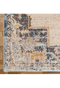 Cleo Traditional Medallion Rug