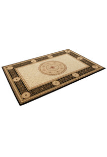 Cain Transitional Medallion Rug