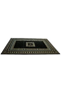 Cain Transitional Medallion Rug