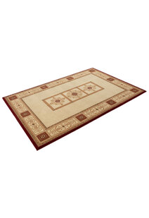 Cain Transitional Medallion Rug