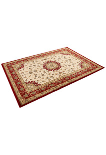 Coen Traditional Medallion Rug