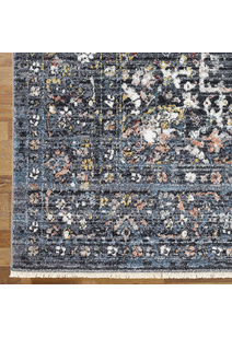 Danny Traditional Medallion Rug
