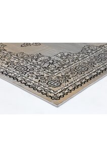 Emma Transitional Medallion Rug