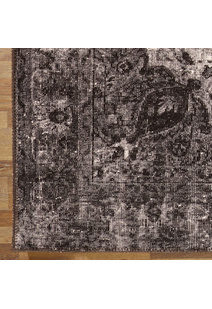 Fara Transitional Medallion Rug